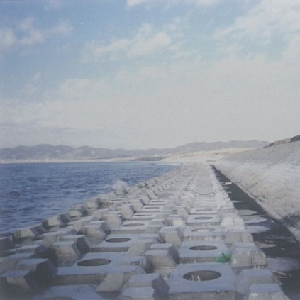 藤原防災林
