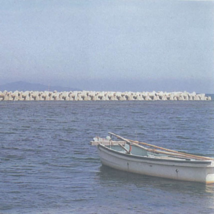 淀江海岸今津地區